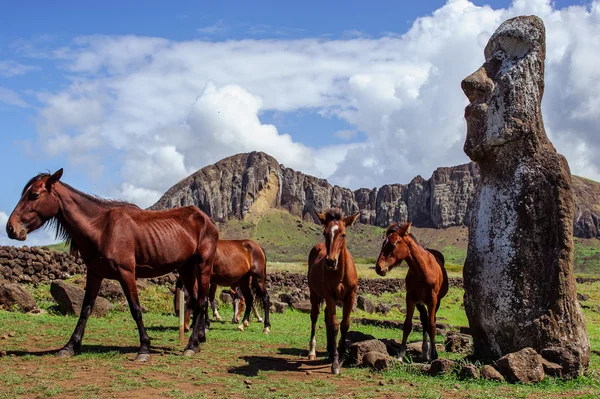 Häst nära statyer på Isla de Pascua. Rapa Nui. Påskön — Stockfoto