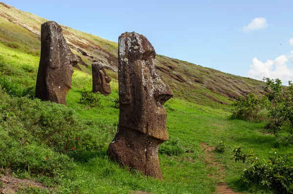 Posągi na Isla de Pascua. Rapa Nui. Wyspa Wielkanocna — Zdjęcie stockowe