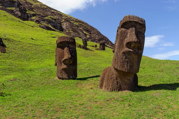 Heykeller Isla de Pascua üzerinde. Rapa Nui. Paskalya Adası