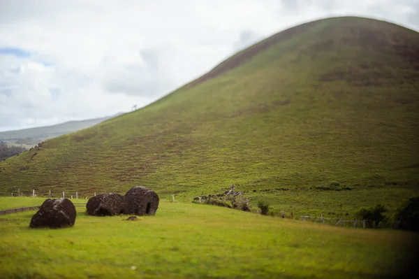 Collines sur l'Isla de Pascua. Rapa Nui. Île de Pâques. Décalage incliné . — Photo