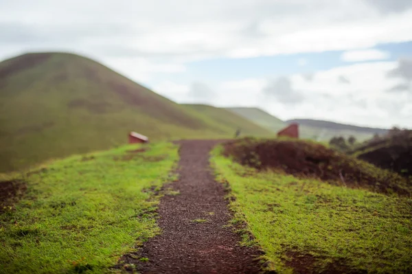 Isla de Pascua tepelerde. Rapa Nui. Paskalya Adası. Tilt Shift.
