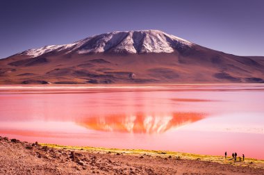 Bolivya, dağlarında altiplano