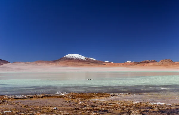 Montañas de Bolivia, altiplano — Foto de Stock