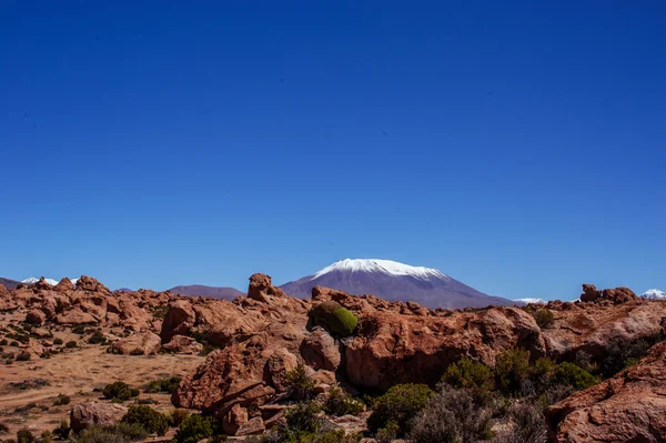 Mountains of Bolivia, altiplano — Stock Photo, Image