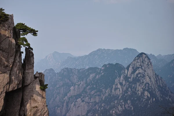 黄山 — ストック写真