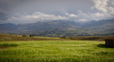 Bolivya, dağlarında altiplano