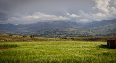 Mountains of Bolivia, altiplano clipart