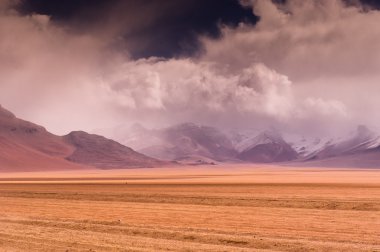 Mountains of Bolivia, altiplano clipart