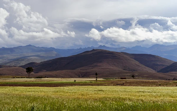 Montagne della Bolivia, altiplano — Foto Stock
