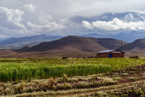 Bolivya, dağlarında altiplano