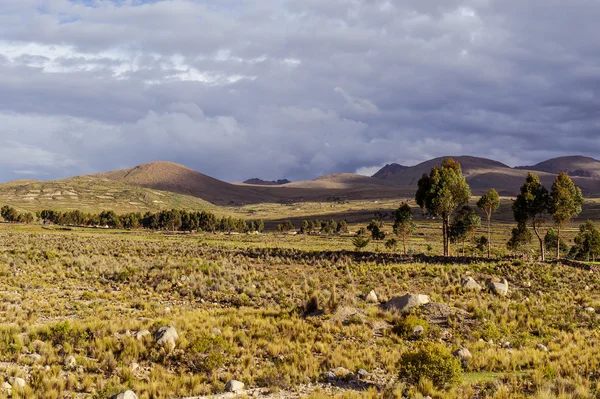 玻利维亚，山脉高原 — 图库照片