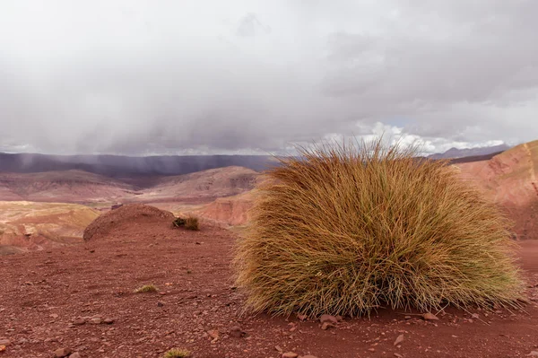 Hory Bolívie, altiplano — Stock fotografie