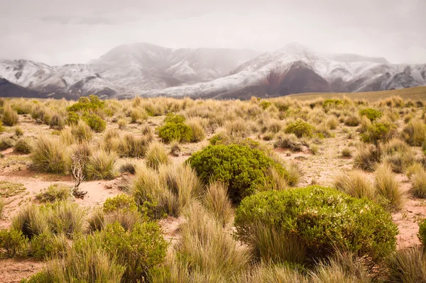 Mountains of Bolivia, altiplano — Stock Photo, Image
