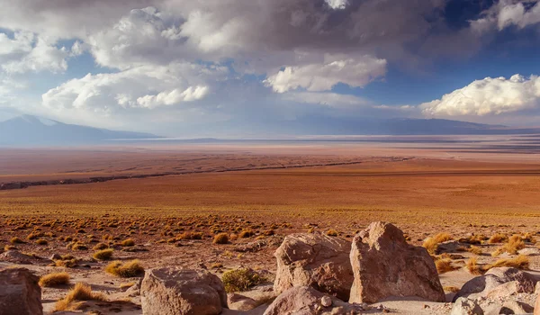 Bergen i Bolivia, altiplano — Stockfoto