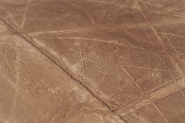 Nazca çizgileri ve geoglyphs