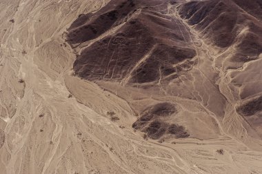 Nazca çizgileri ve geoglyphs