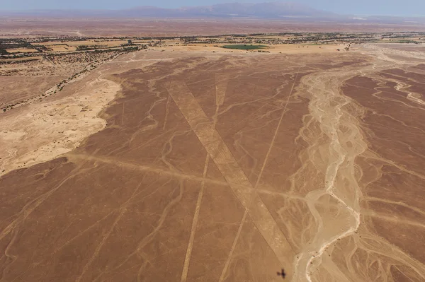 Nazca Lines and geoglyphs — Stock Photo, Image