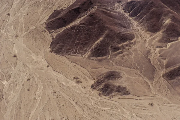 Líneas de Nazca y geoglifos — Foto de Stock