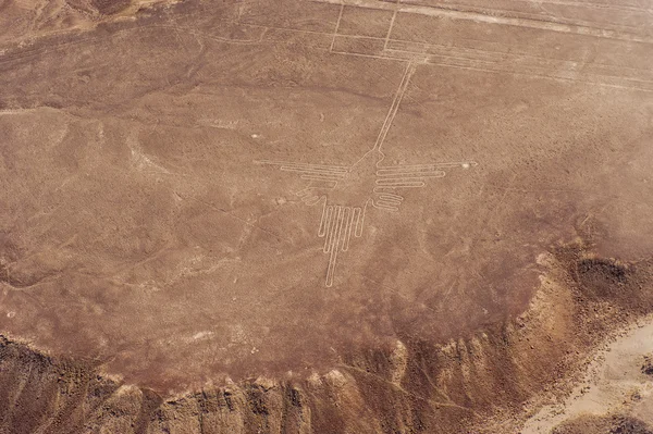 Nazca çizgileri ve geoglyphs