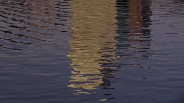 Reflectie in het water — Stockvideo