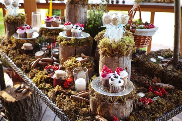 Orman çikolata taze meyveleri lezzetli kek ile dekore edilmiş,. — Stok fotoğraf