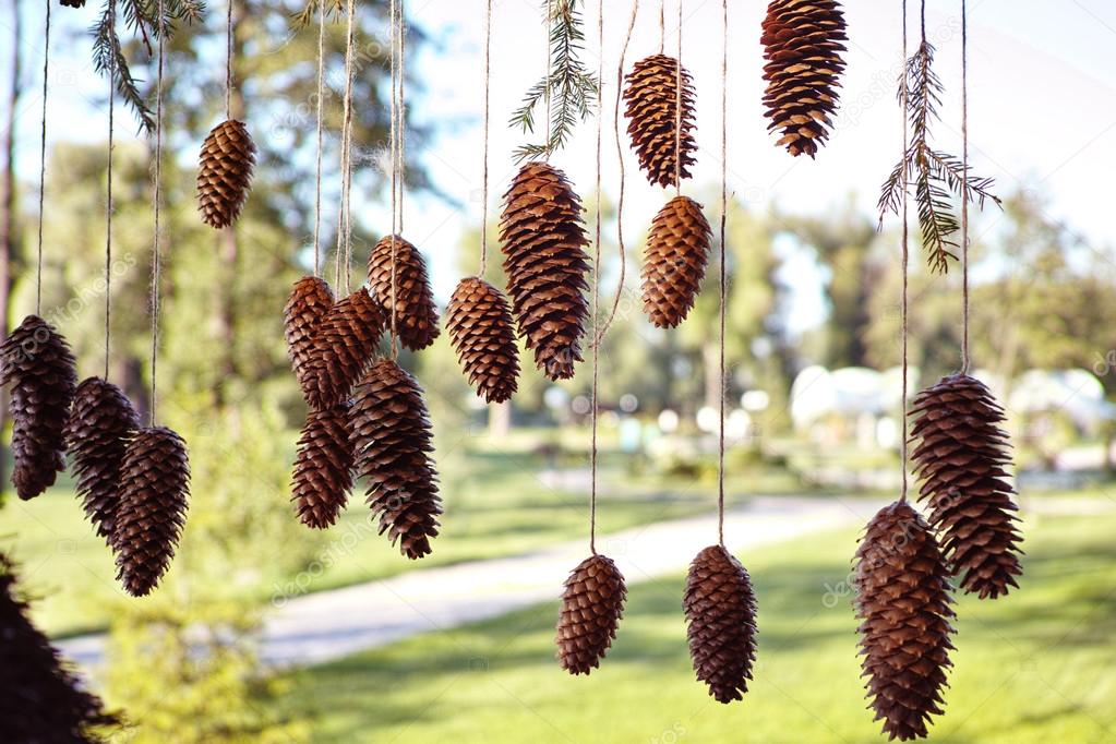 Cones as the decoration