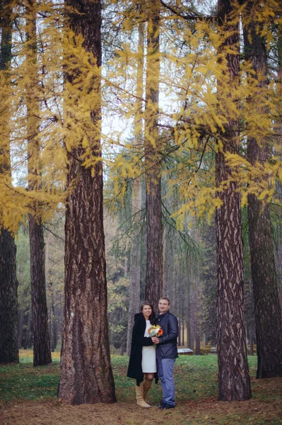 Loving couple walking in the park. — Stock Photo, Image