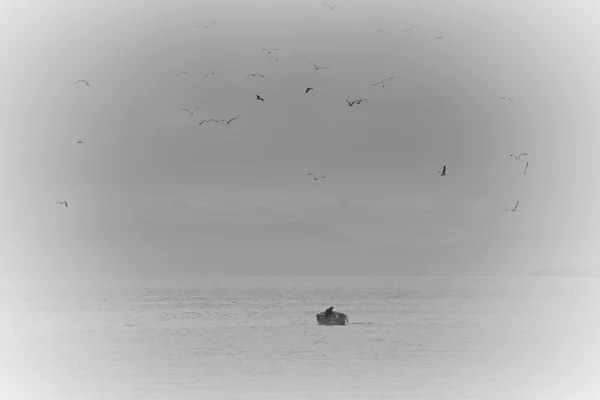 Hombre Pescando Lago Gaviotas Por Encima — Foto de Stock