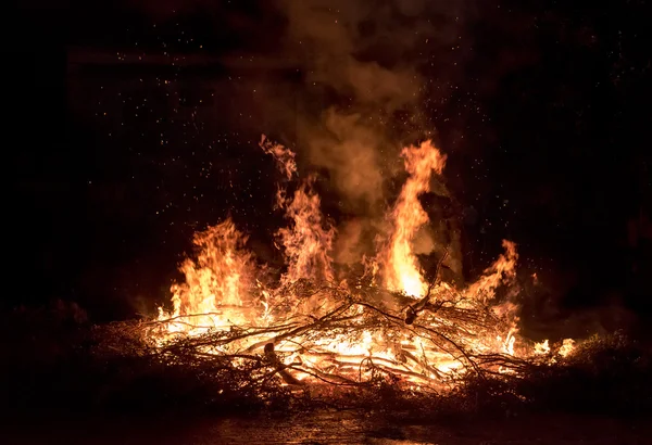 Branches en feu — Photo