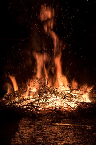Branches en feu — Photo