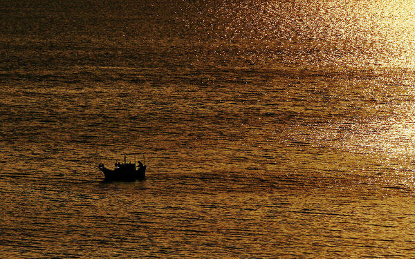 Золотой час
