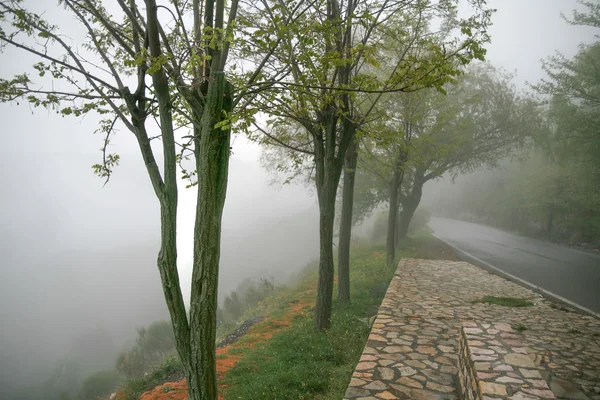 Landschap in de mist — Stockfoto