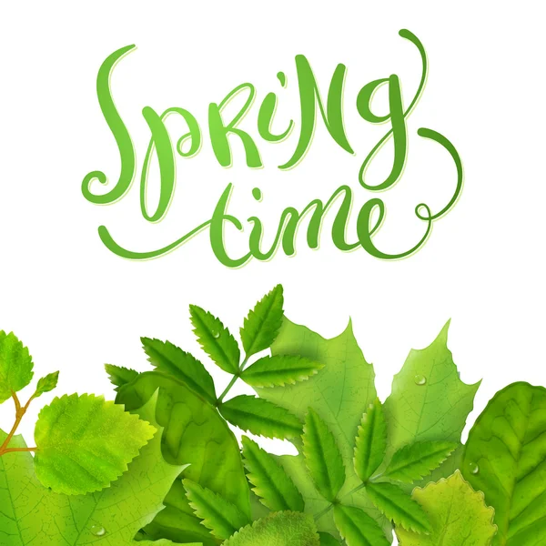 Spring time with leaves — Stock Vector
