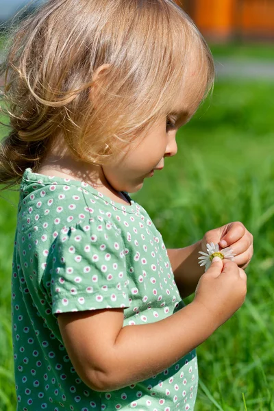 小さな子供の牧草地 — ストック写真