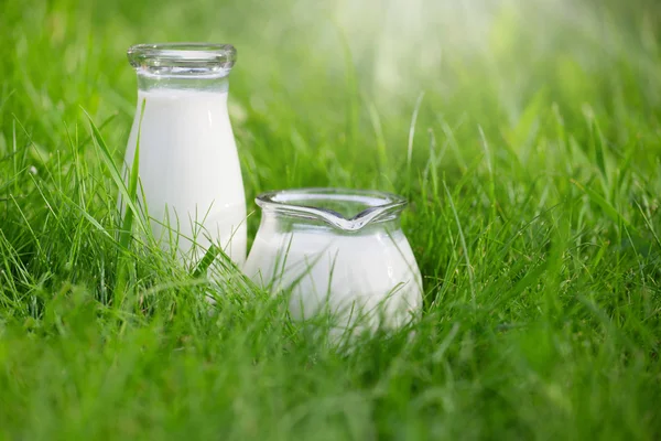 Свіже молоко в пляшках — стокове фото
