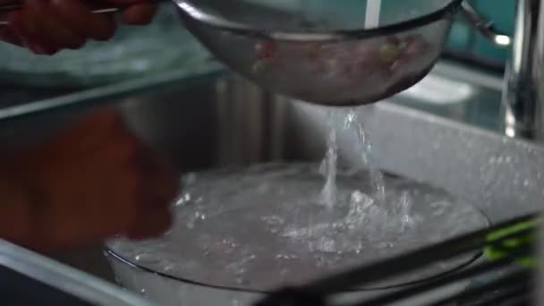 Een vrouw wast bessen in een vergiet. Witte en rode bessen. Close-up zicht — Stockvideo