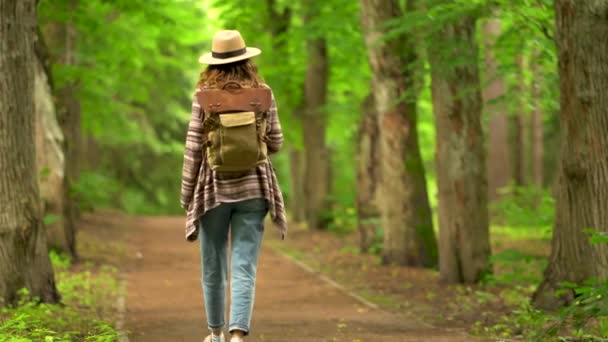 背着背包独自走在林子里的路上的女人。旅游生活方式概念探险户外暑假 — 图库视频影像
