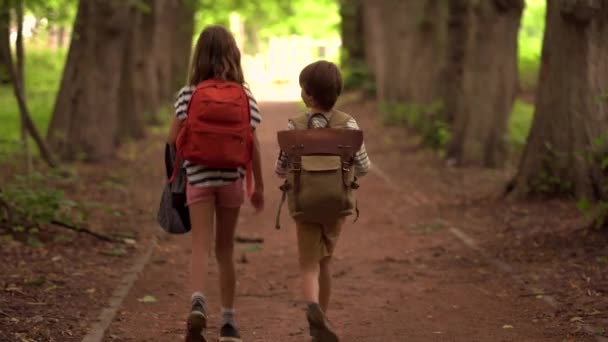 Tourist girl and boy enjoying hiking with backpack in national park. Happy children walking in the forest in summer. Active lifestyle concept — Stock Video