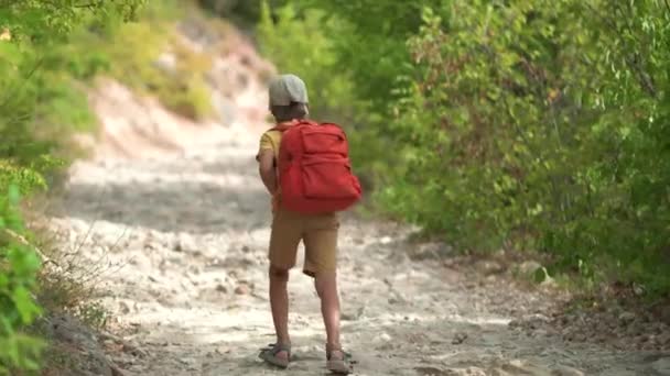 旅游男孩喜欢带着背包在国家公园里徒步旅行.夏天，快乐的孩子在森林里散步。积极生活方式概念 — 图库视频影像