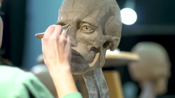 Woman sculptor at work. Ecorche human head. Close up view. — Stock Video
