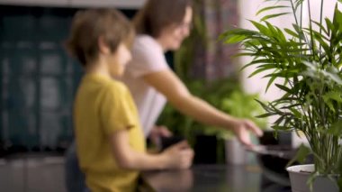 Anne ve oğul evde fidanlar dikiyorlar. Annem saksı bitkilerine yardım ediyor. Bağımsız bir çocuk bir hobiyle meşgul. Mutlu aile
