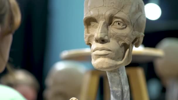 Bildhauer, der eine Skulptur des Kopfes des Menschen schafft. Frau arbeitet im Atelier. Nasenbau-Anatomie — Stockvideo