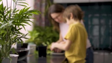Anne ve oğul evde fidanlar dikiyorlar. Annem saksı bitkilerine yardım ediyor. Bağımsız bir çocuk bir hobiyle meşgul. Mutlu aile