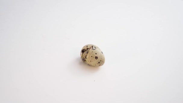 Новорожденное перепелиное яйцо на белом фоне. Цыпочка вылупляется из яйца. Рождение новой маленькой жизни — стоковое видео