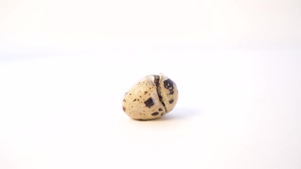 Nyfödd vaktel ägg på vit bakgrund. Chick kläcker ägget. Födelsen av ett nytt litet liv — Stockvideo