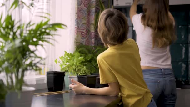 Mutter und Sohn pflanzen Setzlinge zu Hause. Mama hilft Junge mit Topfpflanzen. Ein unabhängiges Kind ist mit einem Hobby beschäftigt. Glückliche Familie — Stockvideo