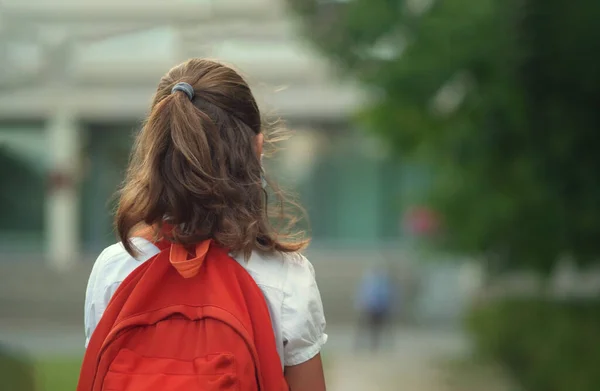 Child goes back to school. Cute pupil with backpack. Girl back view