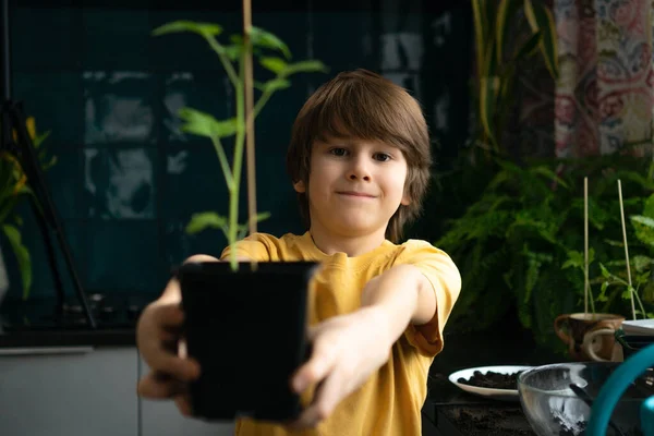 Pequeño niño plantando plántulas en casa. Un niño independiente está ocupado con un hobby, replantando plantas, rociando flores. Concepto de por vida — Foto de Stock