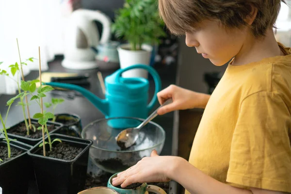 Rapaz a plantar mudas em casa. Uma criança independente está ocupada com um hobby com plantas em vasos. Conceito vitalício — Fotografia de Stock