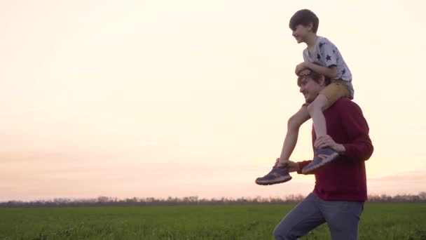 Child sits on daddys shoulders. Happy family dad with son play together in the field. Father and child spend time together in nature — Stock Video